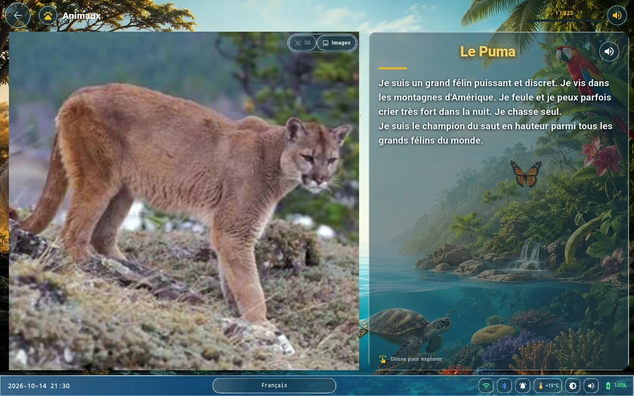 Animaux dans l’application Byovva