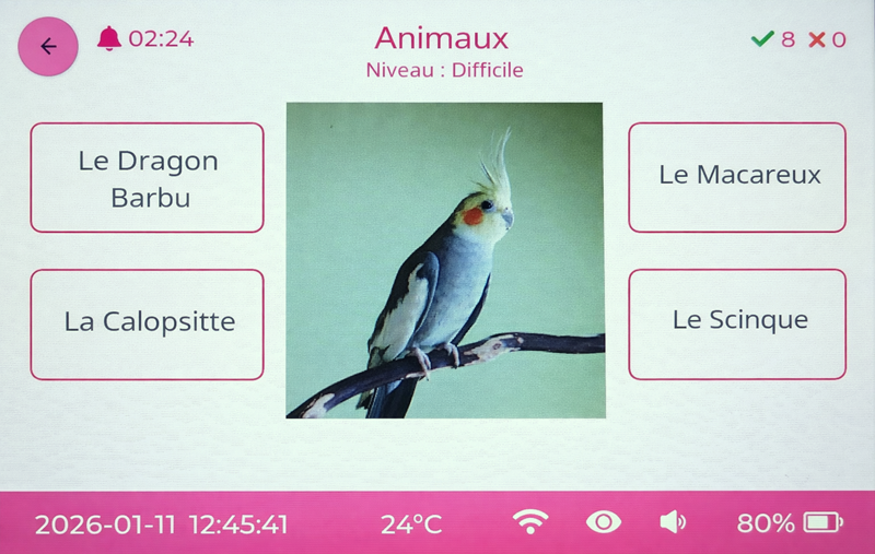 Quiz Animaux